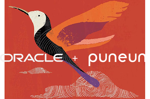 Oracle PuneUni